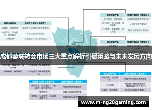 成都蓉城转会市场三大重点解析引援策略与未来发展方向