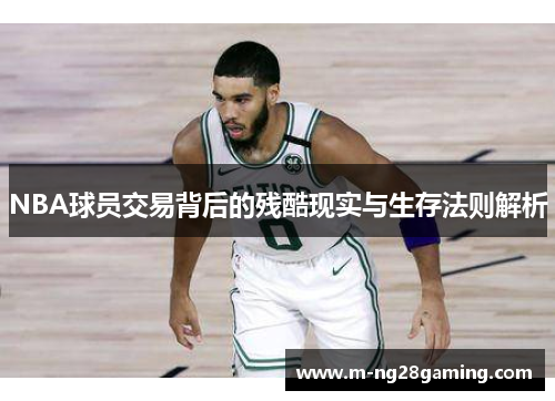 NBA球员交易背后的残酷现实与生存法则解析