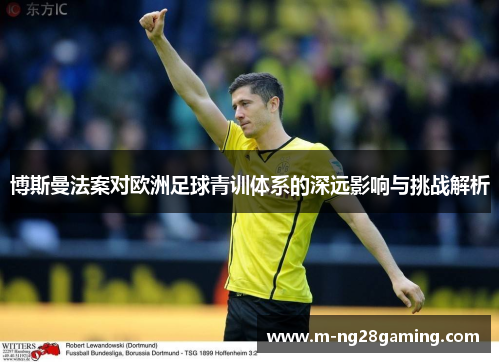 博斯曼法案对欧洲足球青训体系的深远影响与挑战解析
