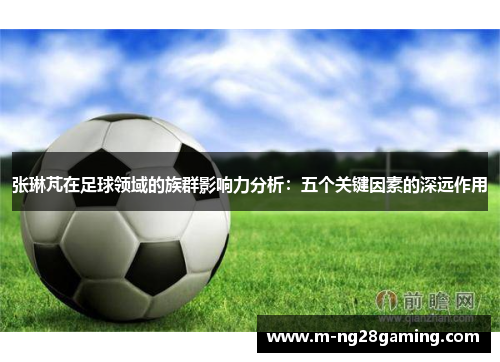 张琳芃在足球领域的族群影响力分析：五个关键因素的深远作用