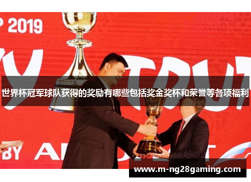 世界杯冠军球队获得的奖励有哪些包括奖金奖杯和荣誉等各项福利