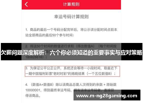 欠薪问题深度解析：六个你必须知道的重要事实与应对策略