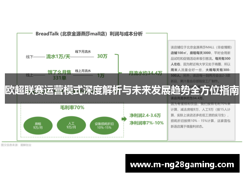 欧超联赛运营模式深度解析与未来发展趋势全方位指南