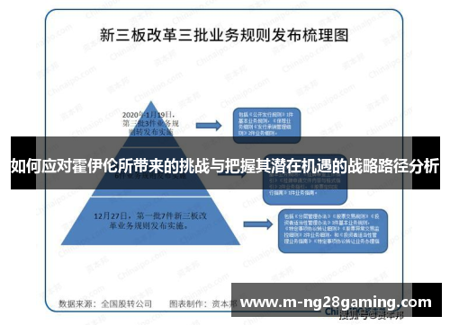 如何应对霍伊伦所带来的挑战与把握其潜在机遇的战略路径分析