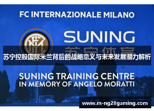 苏宁控股国际米兰背后的战略意义与未来发展潜力解析